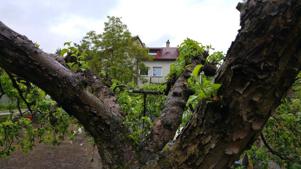 Rent0Nline Brwinow Rooms Kültér fotó